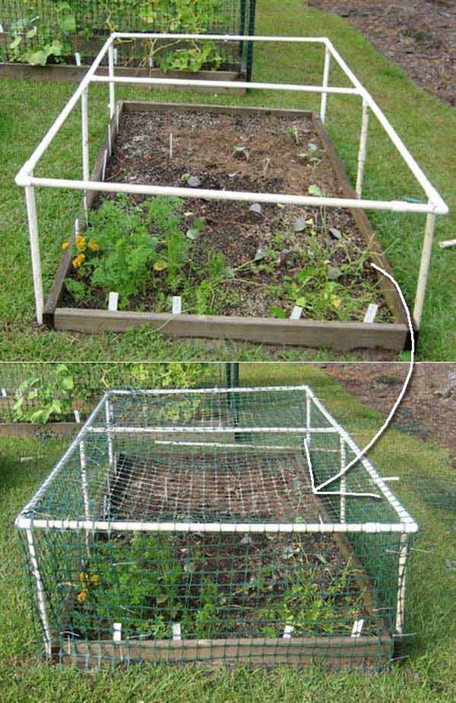 Diy Pvc Pipe Projects Make Your Gardening More Easier Lazytries,How Often Do Puppies Poop A Day