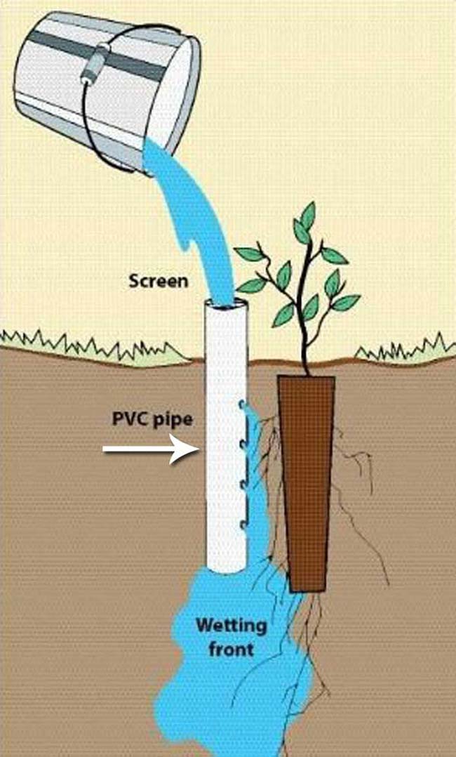 Diy Pvc Pipe Projects Make Your, How To Use Pvc Pipe For Gardening