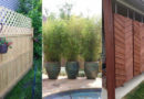 20 Cool Ideas for Getting Privacy in Summer Patio and Yard