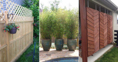 20 Cool Ideas for Getting Privacy in Your Patio and Yard